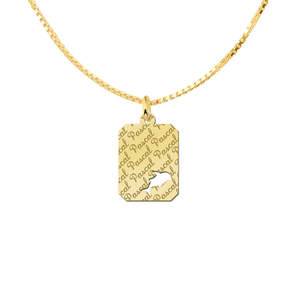 gold engraved kids rectangle nametag repeat dolphin
