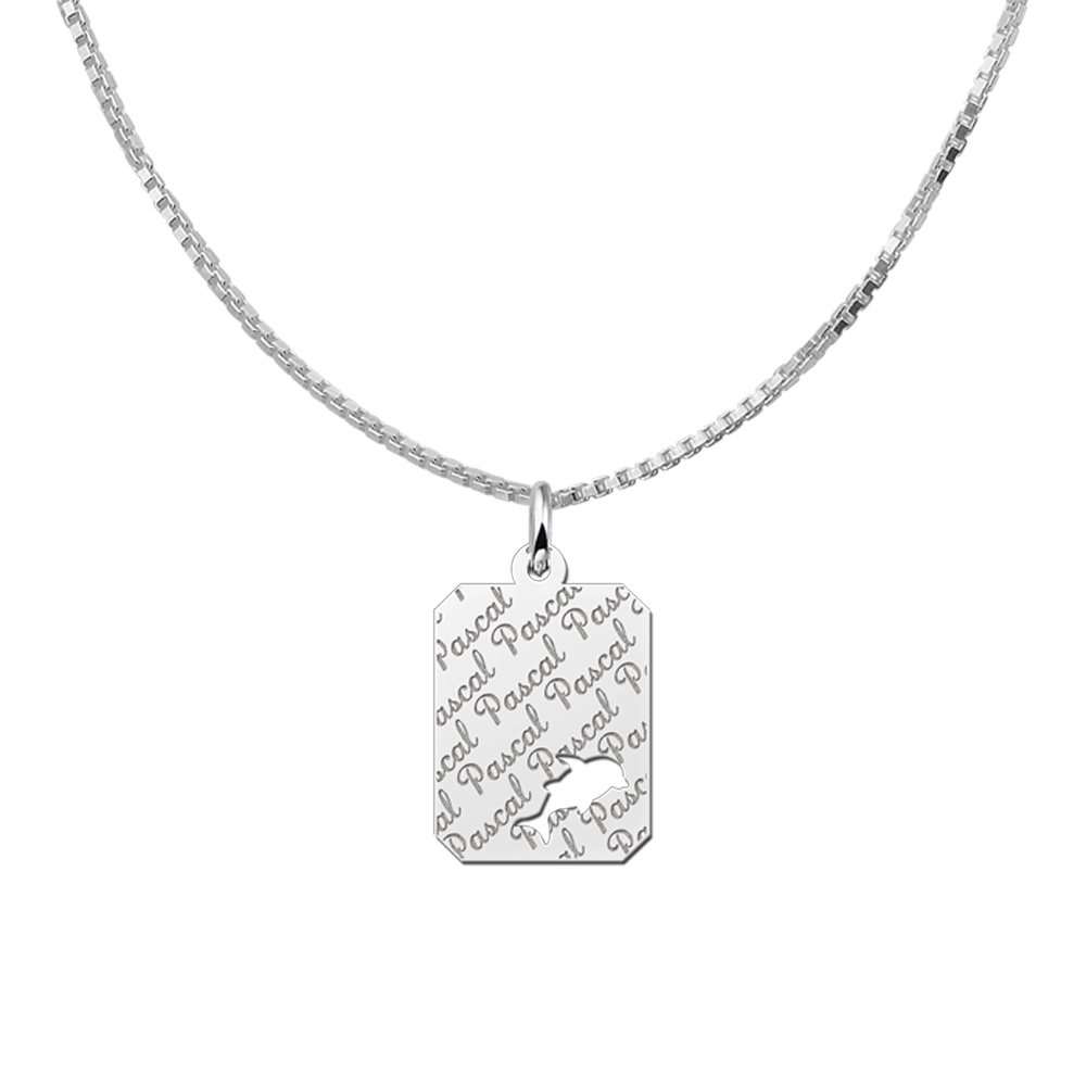 Silver engraved kids rectangle nametag repeat dolphin