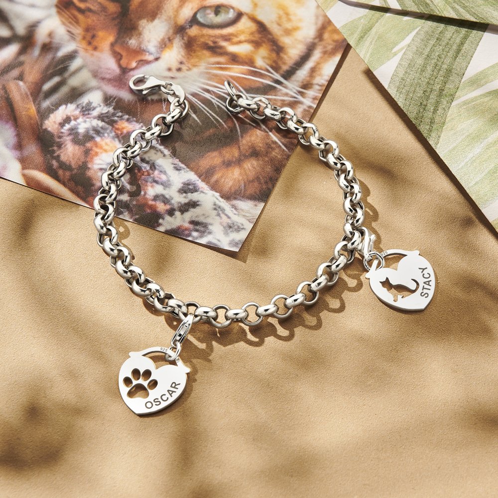 Silver bracelet Jasseron