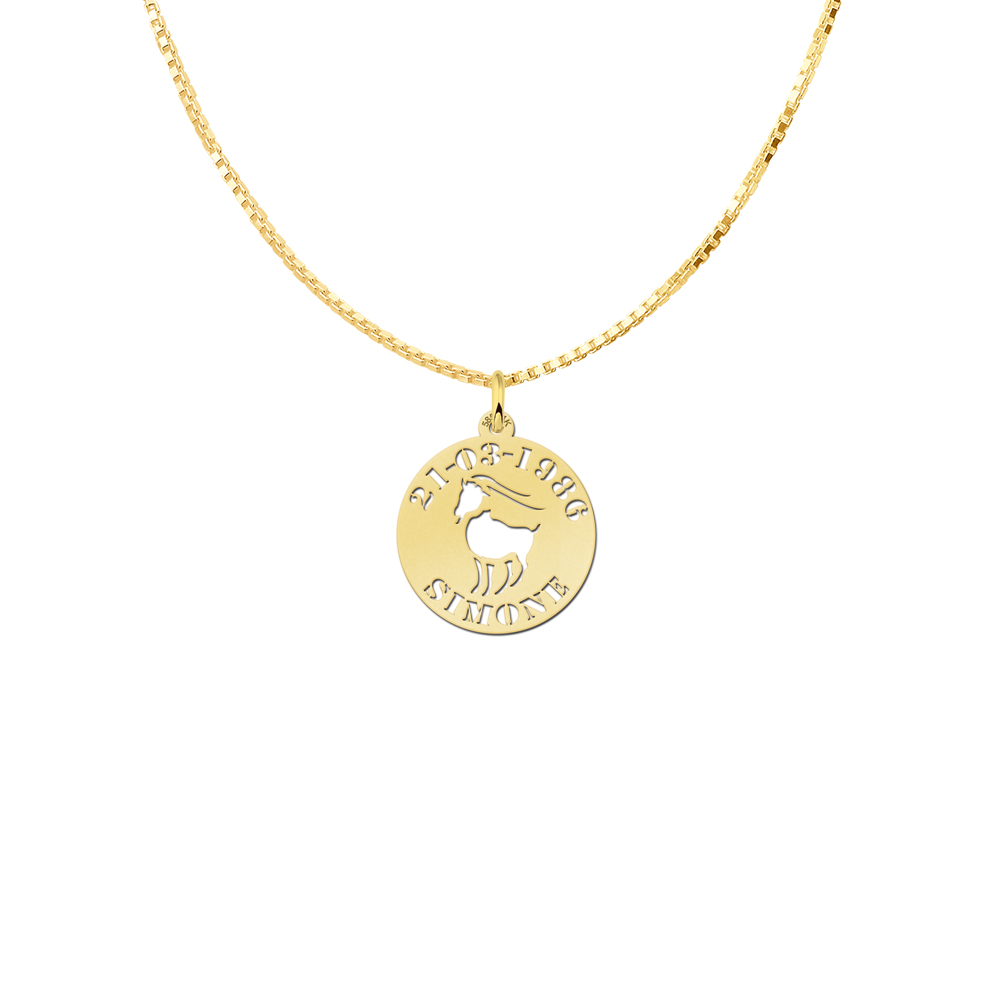 Golden zodiac round namependant Capricorn